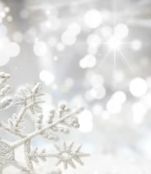 다시가 바라보는 세상의 시선