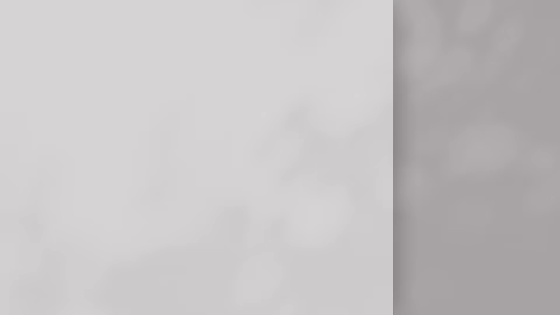 다시가 바라보는 세상의 시선