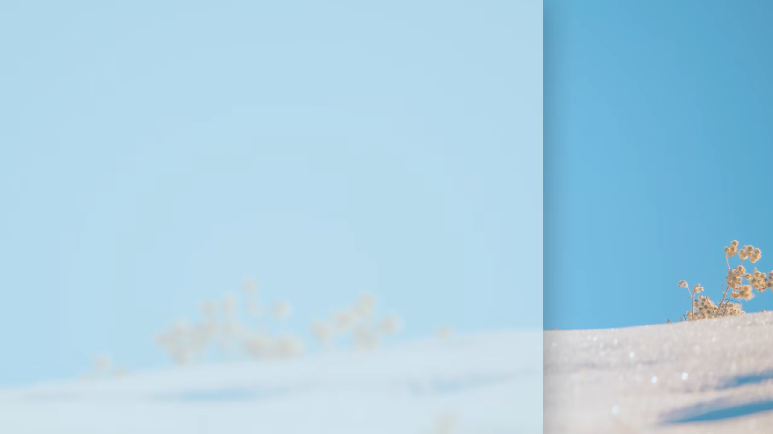 리본회생이 바라보는 세상의 이야기